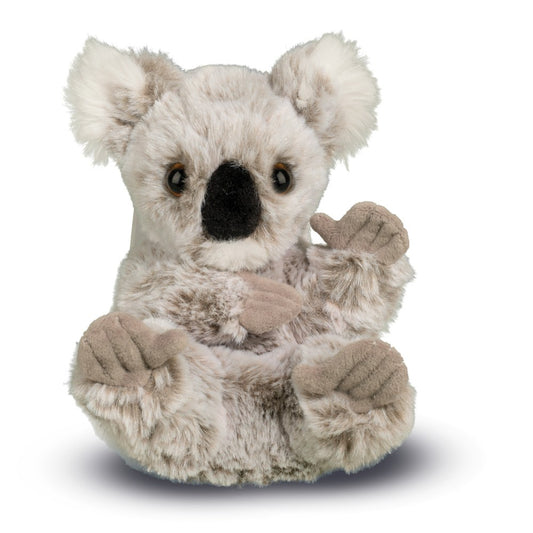 Peluche bébé koala - Douglas