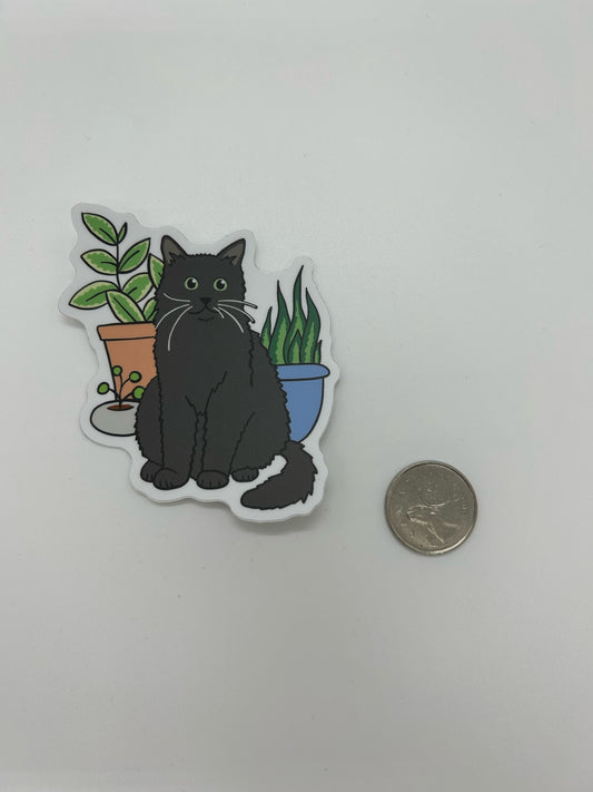 Chat avec plantes - Stickers Northwest