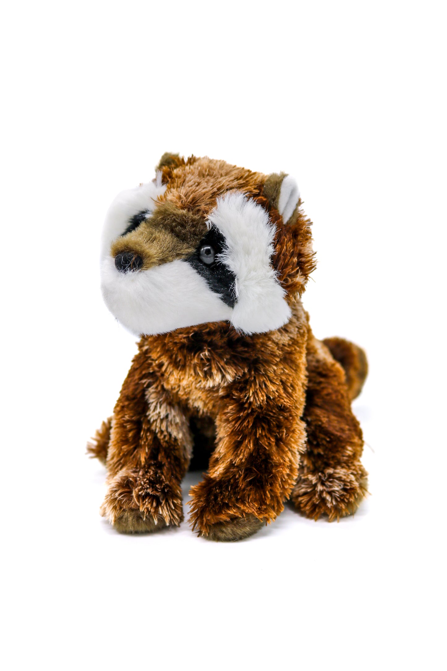 Peluche Patch le raton laveur - Douglas